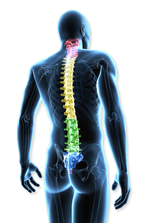 Φυσιοθεραπευτικό Κέντρο Fysiotek Φυσιοθεραπευτικό Κέντρο Fysiotek