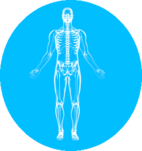 posture-check - αποκατάστασης για προβλήματα κύφωσης και σκολίωσης posture-check - αποκατάστασης για προβλήματα κύφωσης και σκολίωσης